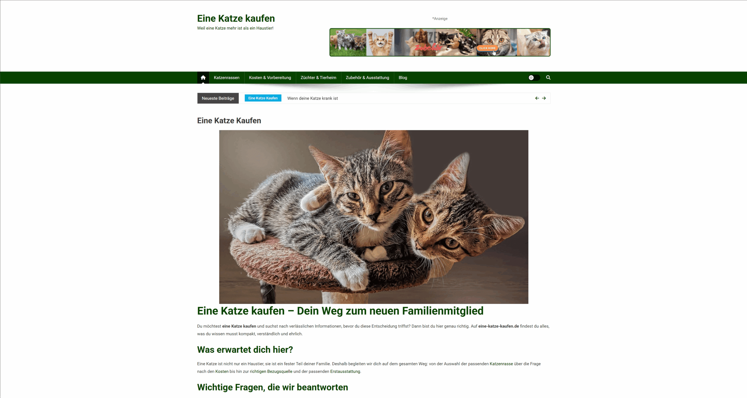 Freedom Page ONE – Vorlage 5