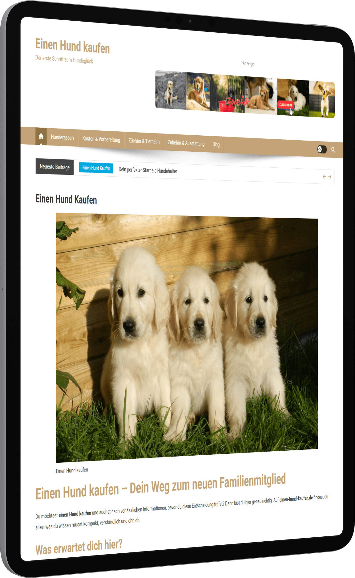 Hunde Nischenseite