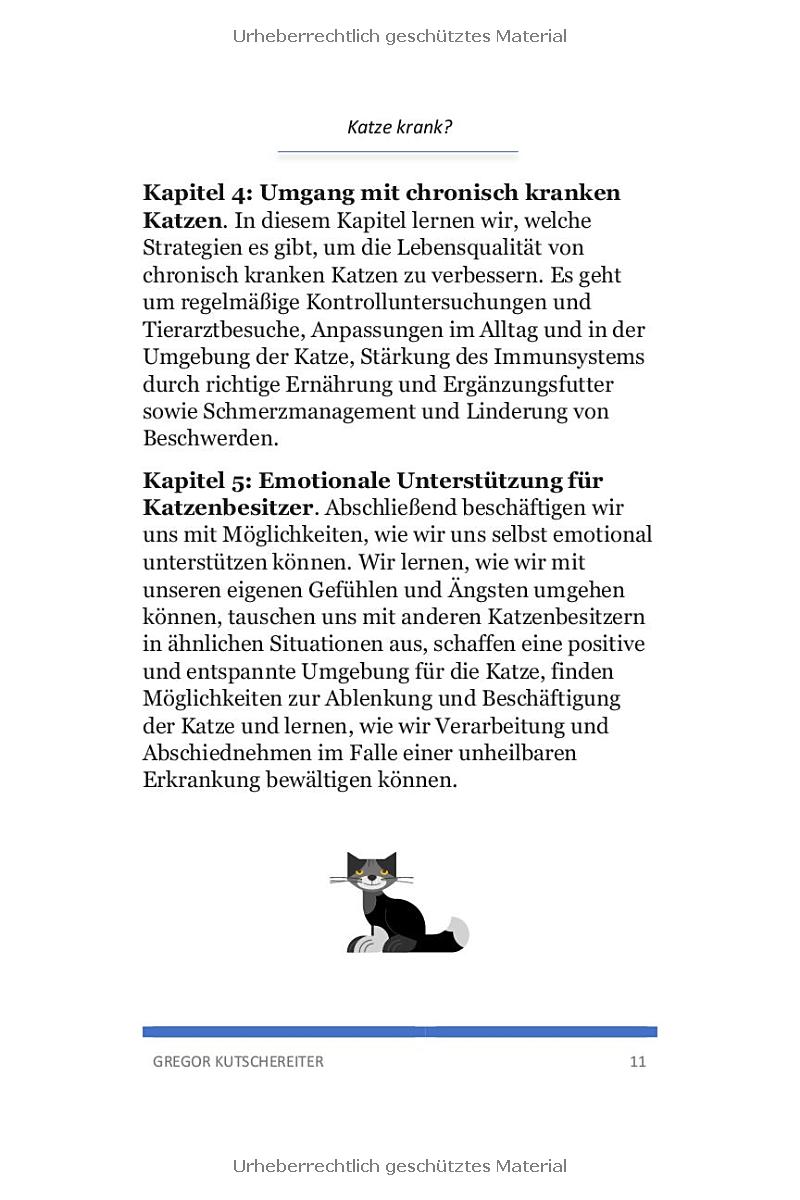 Chronisch kranke Katzen unterstützen